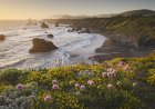 On Earth Day, California Announced Plans for 3 New State Parks