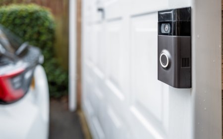 Doorbell Cam Shows Wild Array of Animal Visitors, All in One Night