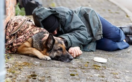 California Introduces Pet-Friendly Homeless Shelters To Help Get People Off The Street