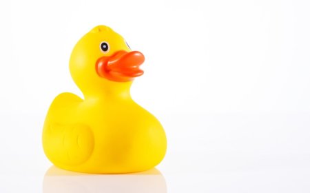 Adorable Online Video Shows Just How Much This Aquarium Seal Loves His Duckie