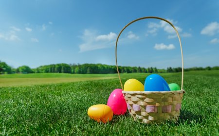 Easter Egg Hunt Gets Weird When Families Find a Human Skull