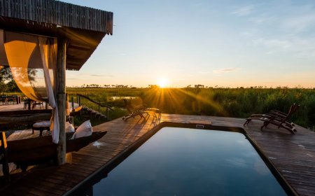 Wildlife Concerns Surge After Kenya Court Makes Their Ruling Over A Luxury Safari Camp