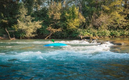 Kayak Capsizes With Two People and Dog Onboard, Killing One