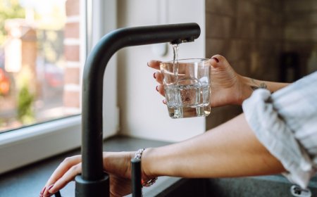 High School Student Amazed The World After She Built A Water Filter That Can Remove 95% Of Microplastics