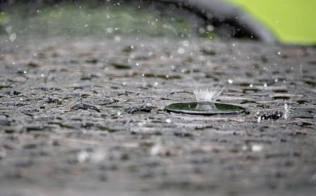 ‘Like Sci-Fi’: Woman Floored by Advancing Rain Shower (Video)