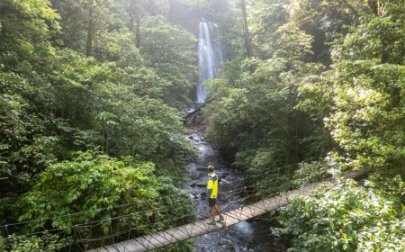 Costa Rica Wildlife Groups Find Major Faults With New Regulations