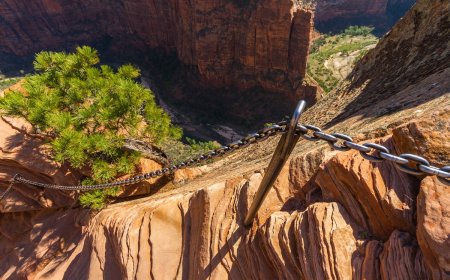 Hiker Dies After Falling From Angels Landing Trail in Zion