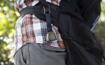 Bear Charges Hiker Attempting to Use Bells as Deterrent (Video)