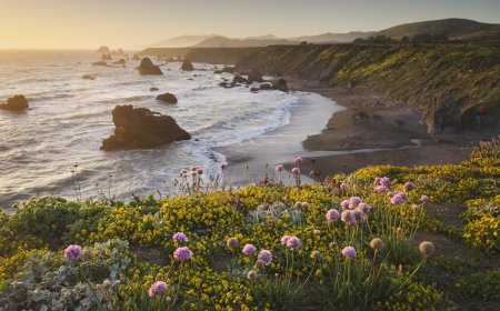 On Earth Day, California Announced Plans for 3 New State Parks