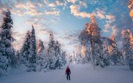 Teens Rescued From Mountain After Surviving In Harsh Conditions