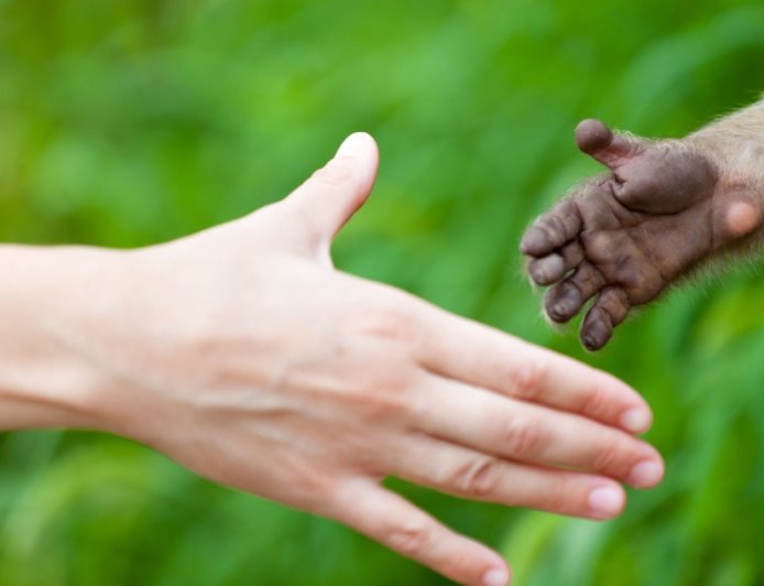 Are Zoos Ethical? These Institutions Set Out To Prove That They Can Be