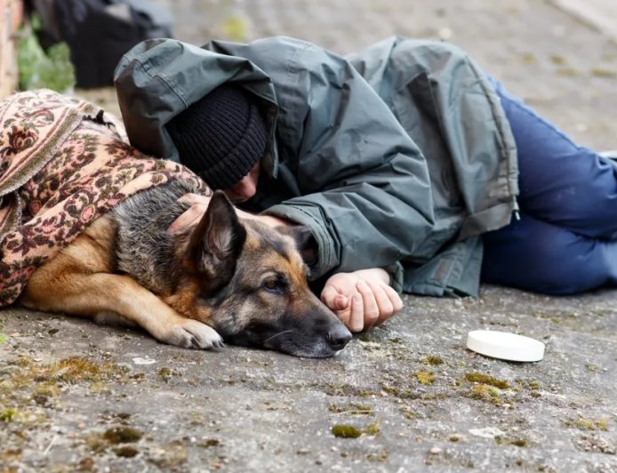California Introduces Pet-Friendly Homeless Shelters To Help Get People Off The Street