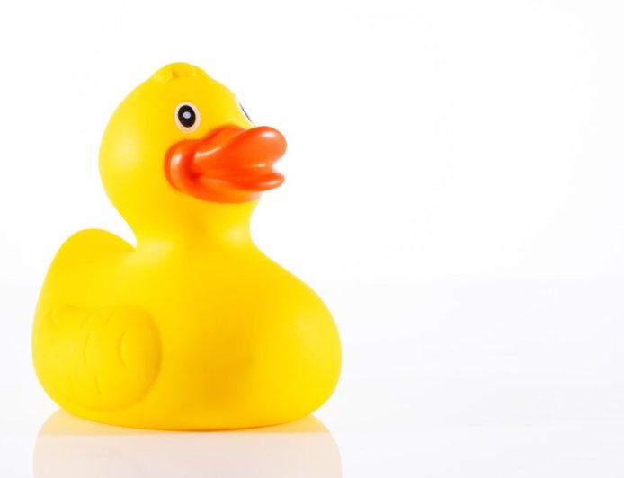 Adorable Online Video Shows Just How Much This Aquarium Seal Loves His Duckie