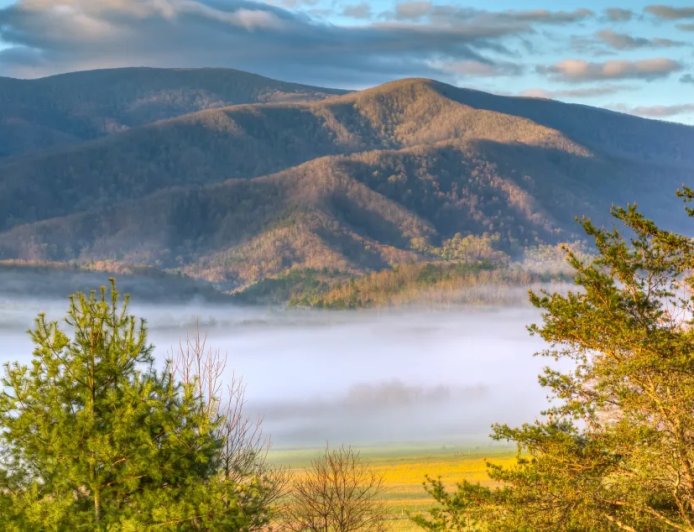 U.S. National Park Trails Close After Multiple Bear Sightings