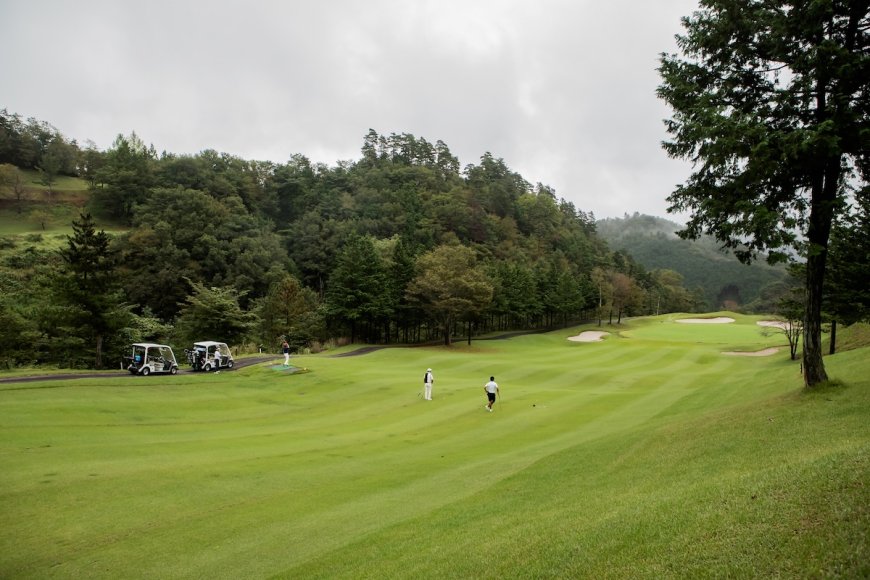 Urban Coyotes Make Themselves at Home on Oregon Golf Course