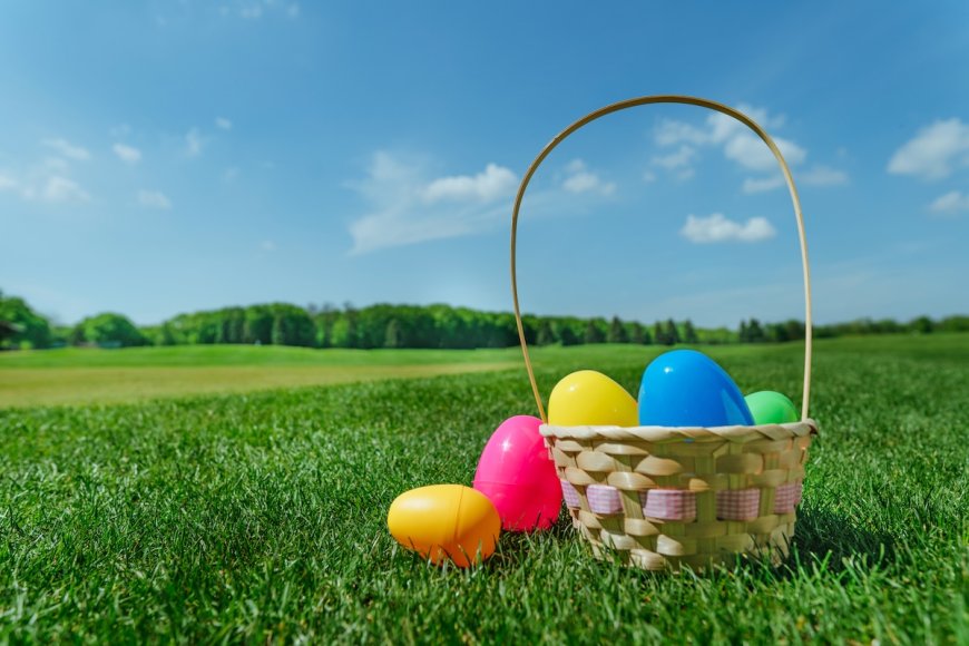 Easter Egg Hunt Gets Weird When Families Find a Human Skull