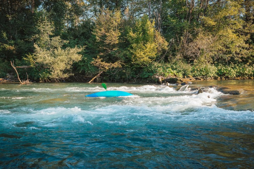 Kayak Capsizes With Two People and Dog Onboard, Killing One