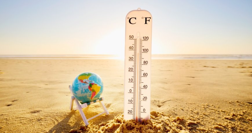 Warming Waters Are Causing Great White Sharks To Overheat