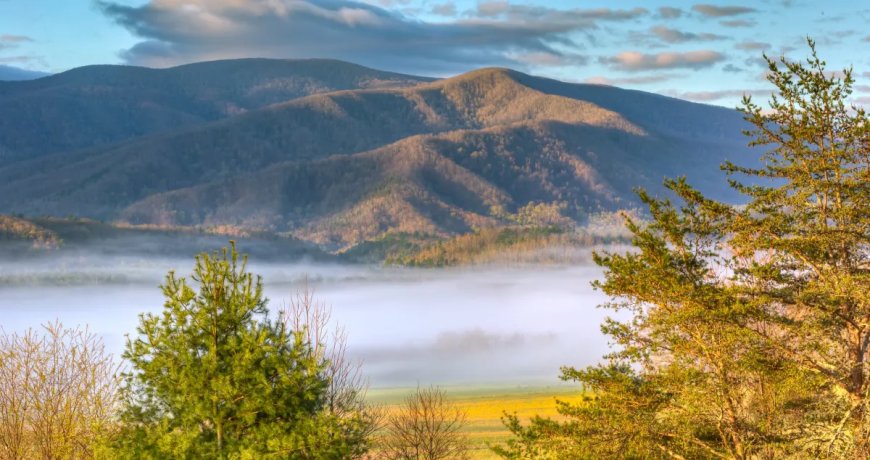 U.S. National Park Trails Close After Multiple Bear Sightings