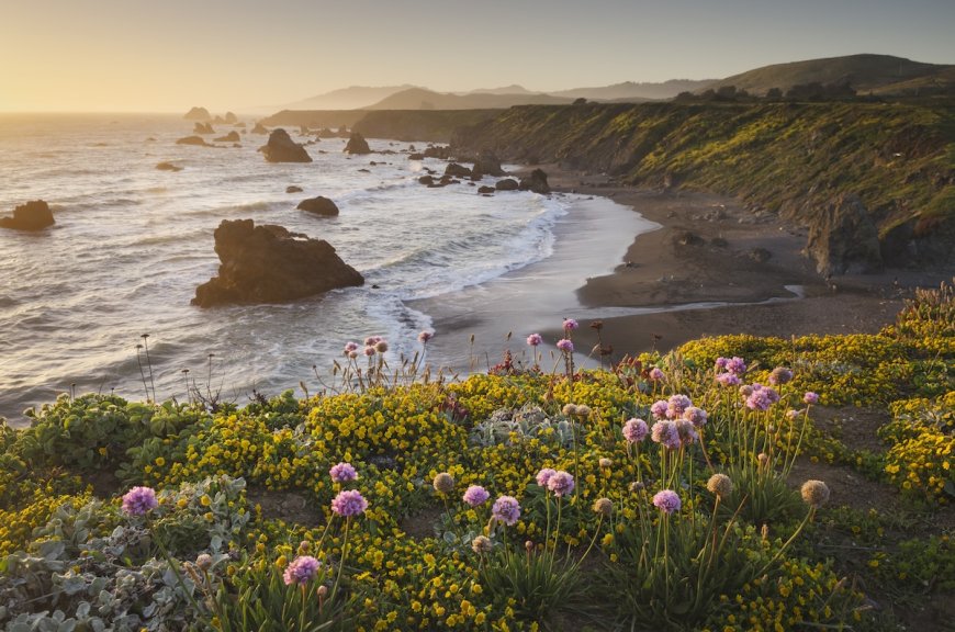On Earth Day, California Announced Plans for 3 New State Parks