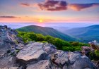 The King Visited Shenandoah National Park (See Photos)