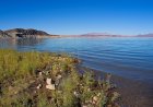 Fatal Amoeba Discovered in These National Parks’ Water Bodies
