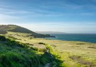 Sailor’s S.O.S May Have Sparked Fire in Channel Islands National Park