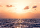 American Woman Is Rowing Solo From California to Hawaii
