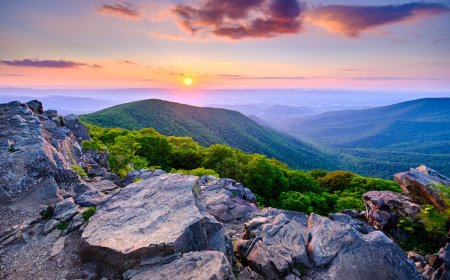 The King Visited Shenandoah National Park (See Photos)