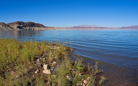 Fatal Amoeba Discovered in These National Parks’ Water Bodies