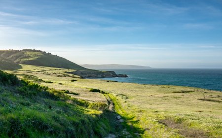 Sailor’s S.O.S May Have Sparked Fire in Channel Islands National Park