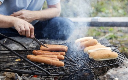 Hot-Dog Thief Caught Red Handed (Suspect Has Paws, Though)
