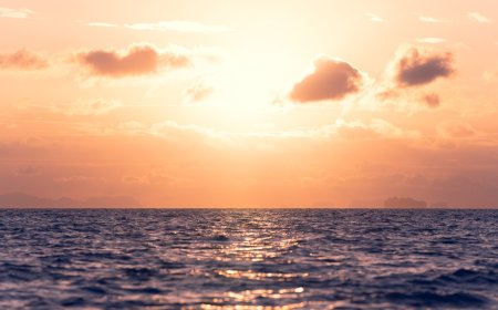 American Woman Is Rowing Solo From California to Hawaii