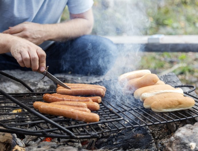 Hot-Dog Thief Caught Red Handed (Suspect Has Paws, Though)