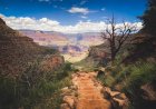 Young Hiker Dies of Heat-Related Illness on Grand Canyon Trail