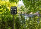 Teen Speaks out About Terrifying Bear Attack on Washington Trail