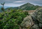 Hypothermic Hikers Rescued in New Hampshire’s White Mountains