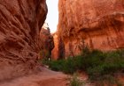Tips for Top Utah Hikes: The Narrows and Fiery Furnace
