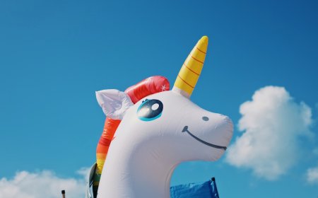 Man Jumps off Bridge With Unicorn Pool Floatie (Video)