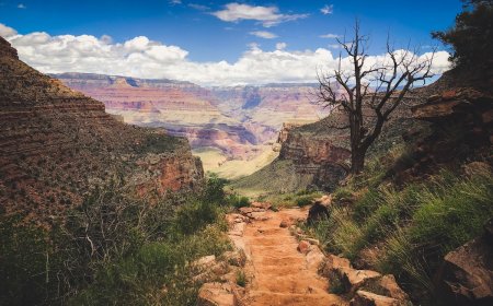 Young Hiker Dies of Heat-Related Illness on Grand Canyon Trail