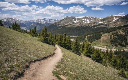 Can You Find the Missing Hiker in This Colorado SAR Photo?