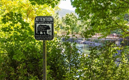 Teen Speaks out About Terrifying Bear Attack on Washington Trail