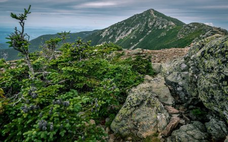 Hypothermic Hikers Rescued in New Hampshire’s White Mountains
