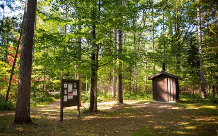 Man Falls Into Toilet at Campground Trying to Retrieve Sunglasses