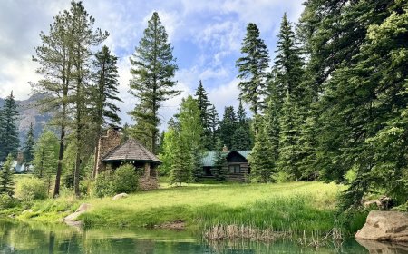 5 Family-Friendly Adventures to Enjoy Outdoors in Colorado