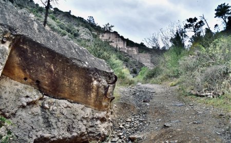 Half-Ton ‘Dislodged’ Boulder Crushes Man on Colorado Trail
