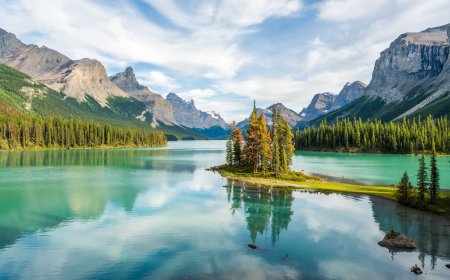 Officials Remind Jasper National Park Visitors NOT to Do This