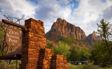‘Zion Rocks! But Graffiti Doesn’t’: Park Denounces Vandalism