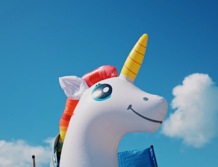 Man Jumps off Bridge With Unicorn Pool Floatie (Video)