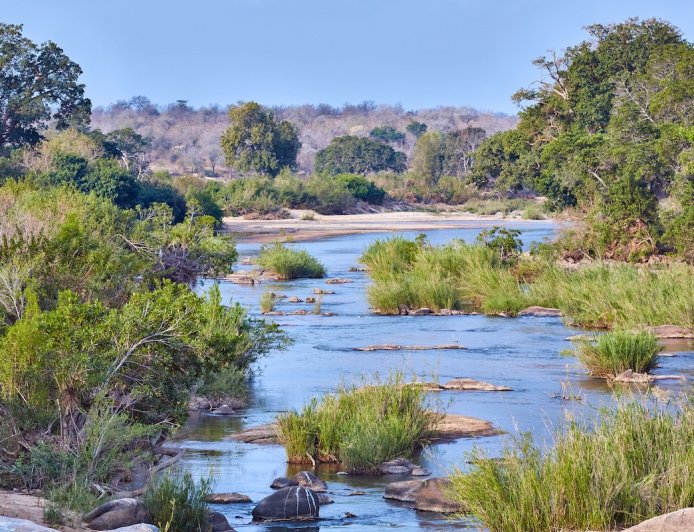 Suspects Arrested for Murder of Tourists in Kruger National Park